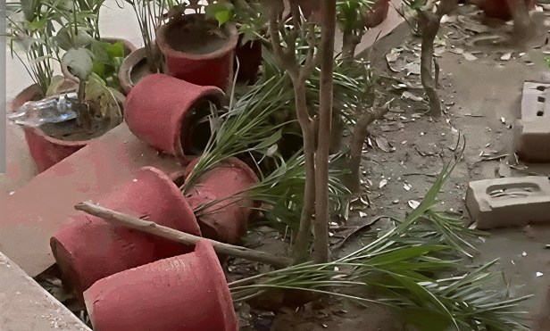 हिसार-GJU यूनिवर्सिटी में भारी बवाल: दिग्विजय चौटाला सहित कई नेताओं पर ...